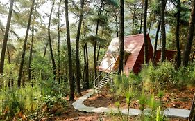 Cat Ba Eco Lodge Resort